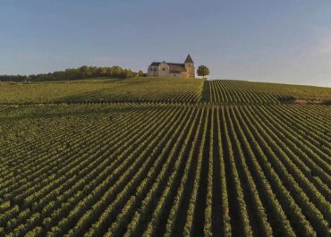 winesbook.it
