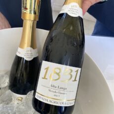 1831 Alta Langa Docg Brut