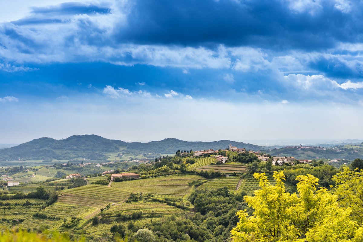 Collio collina