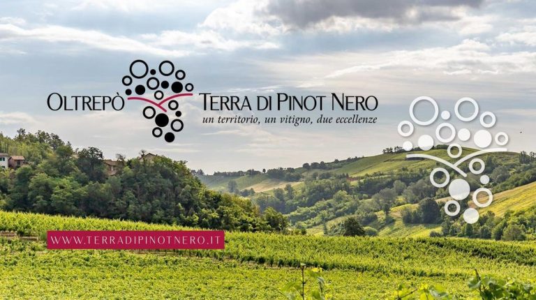 Oltrepò Pavese Terra di Pinot Nero