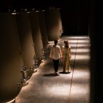 farina contenitori Winesens 2