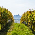 NIZZA DOCG Forum Tour